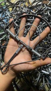 ดักหนูโมดิฟาย6นิ้ว 1มัด 5ชิ้น - กำหนดเพื่อบริการส่งผ่าน UPS สำหรับคุณหนุ่ม (พร้อมส่งค่ะ)