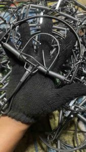 โมดิฟาย 1 มัด 20อัน 499บาท +ฟรี ขี้ไต้ 2แท่ง กับ 6 นิ้ว ดักหนู - ตลาดที่น่าสนใจ!