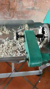 10kg nui ống dài-tinh bột gạo -hàng chuyên dùng để xuất khẩu