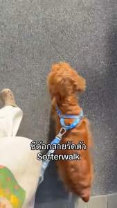 Zeedog SofterWalk Harness  สายรัดอกสำหรับสุนัขแบบ No-Pull (ช่วยลดการดึง) ที่ออกแบบมาเพื่อให้ทั้งสุนัขและเจ้าของได้สัมผัสกับการเดินที่นุ่มนวลและสบายมากยิ่งขึ้น