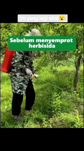 KILL GRASS PANDA RAJA PEMBUNUH HAMA DAN GULMA TERLARIS