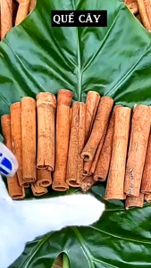 500g-QUẾ THANH CAO CẤP