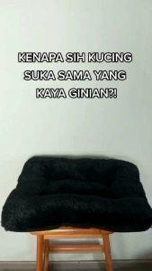 Kasur Kucing Mungil Super Lembut & Halus
