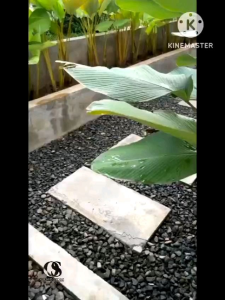 ORPED.ID SIZE [28-39] CELANA CHINO PENDEK PRIA CATTON STRETCH SLIMFIT PREMIUM