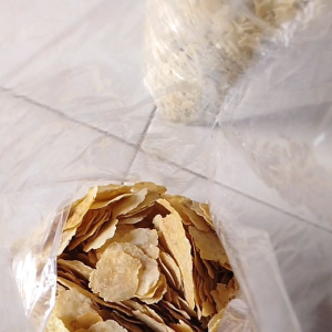 COD 1KG REMUKAN & BS SORTIR melinjo mentah brsih siap goreng