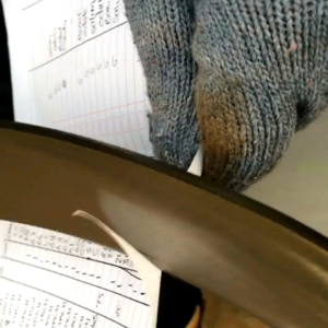 EGREK SAWIT BIDOR CAP BINTANG ORIGINAL MALAYSIA