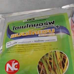 ไดเมโทมอฟ + แมนโคเซบ  สารป้องกันกำจัดเชื้อรายับยั้งการ สร้างผนังเซลล์ ของเชื้อรา กลไกการออกฤทธิ์ที่แตกต่างจากสารอื่น