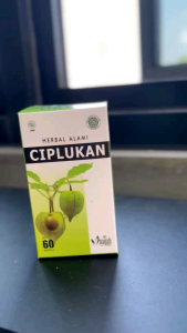Kapsul Ciplukan Isi 60 Pcs Herbal Inayah