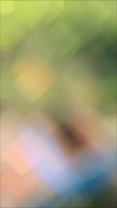 Madu Sengon Asli: Manfaat dan Keunggulan