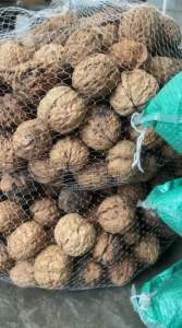 Raw walnut for parrots macaw. Available 500gm and 1kg