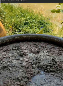 🐬🌿น้ำหมักปลาทะเล1ลิตร🐬🌿 บำรุงเร่งราก ดอก ใบ พืชทุกชนิด