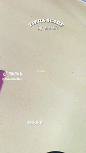 PROMO - TIERA SCARF Jilbab hijab kerudung dewasa segiempat daily simple mewah terbaru new terlaris SEGIEMPAT VOAL MOTIF BUNGA random EXCLUSIVE BY AR RAFI murah viral lebaran idul fitri 2025 adem mudah di bentuk cantik bayar ditempat COD gratis ongkir