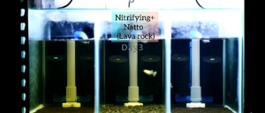 GEI-LEE NITRIFYING BACTERIA Fresh Water Aquarium Shrimp Tank Fish Tank (Ready Stock )