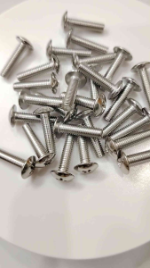 Ốc vít Pake đầu dù INOX 304 - M5 M6 (10 con)