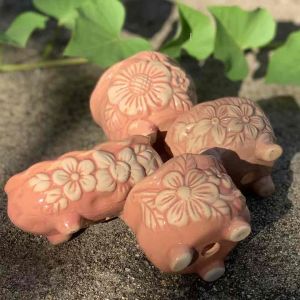 Bộ 4 chậu trồng cây sen đá/xương rồng nhập Trung tông hồng