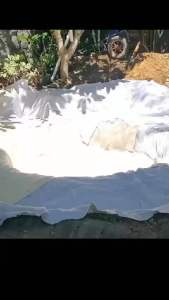 geomembran HDPE tebal 300 micron berbagai ukuran ( kolam ikan & Terpal Tambak (