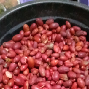 KULIT MELINJO SEGAR 1KG