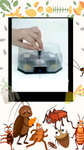 กล่องดักแมลงสาบ ใส่เหยื่อล่อดักจับได้ 4ทิศทาง สามารถล้างและนำกับมาใช้ใหม่ได้