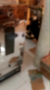 PROOFER GAS MANUAL /PROOFING/STREAMER/ALAT PENGEMBANG ROTI 6 SUSUN FULL STAINLESS STEEL TEBAL DAN ANTI KARAT