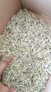ikan teri ikan asin super ( 250 gram)