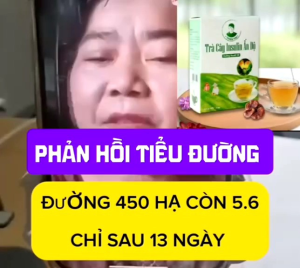 TRÀ CÂY INSULIN( MUA 4 TẶNG 1) HỖ TRỢ NGƯỜI TIÊỦ ĐƯỜNG