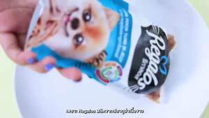 ยกโหล 6 ซอง รีกาลอส อาหารเปียกแมวชนิดซอง 70g ครึ่งโหล 12 ซอง 1 โหล