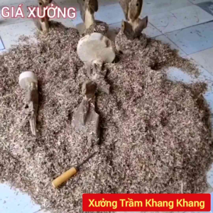 Họp 45 NụTrầm Hương Nhà Âu Lạc Dùng Được Cho Thác Và Lư 100% Trầm Kiến Tự Nhiên Không Hóa Chất