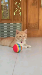 MAINAN INTERACTIVE BOLA PELANGI KUCING 35 mm