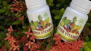 BAJA SIAM SUPER VITAMIN / 100% Organik/ baja penggalak akar bunga baja subur baja bunga fertigasi vitamin