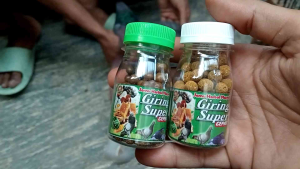 SUPER GIRING 120 BUTIR jamu Merpati cepat giring keket dalam dua hari jamu extra ginseng teki walet
