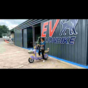 จักรยานไฟฟ้า รุ่น MD-750W