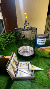 Alas Sangkar & Alat Membersihkan Kotoran Burung Murai Lovebird Pleci