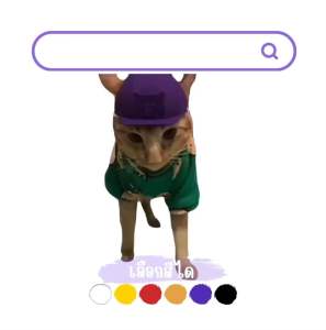 Helmet for Kids หมวกนิรภัยแมว เครื่องแต่งกายสำหรับสัตว์เลี้ยง สำหรับน้องแมว และสุนัขขนาดเล็ก