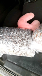 Permen jahe asli 1 pack isi 100 piece permen jadul  permen untuk ibu hamil  permen untuk mual