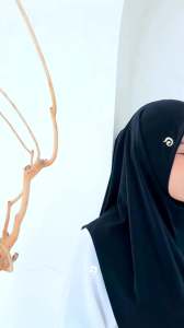 AFIDA Daffi Hijab Terbaru Viral Jilbab Instan Premium Bordir