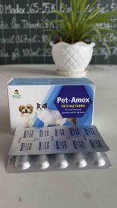 Vemedim pet amox 10 viên Vemedim Pet Amox Cho Chó Con Thuốc Nhai Mềm Cho Chó Vemedim Sản Phẩm Vemedim Cho Thú Cưng Vệ Sinh Sức Khỏe Chó Con Vemedim - Lazada