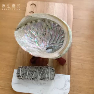 White Sage Palo Santo Abalone Shell with Stand for Home Cleansing Australian Abalone Shell Tray