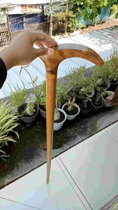 tongkat jalan kayu kelor Jawa motif pipih B264