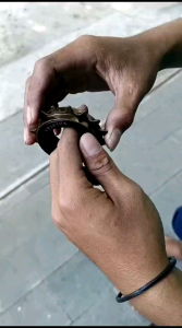 FREEWHEEL JANGKRIK 1 SPEED CELCIUS 16T 16 T SINGLE GEAR GIR BMX MINI MTB BALAP ROAD BIKE KERAS NYARING BMX FIXIE BALAP MTB