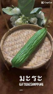 มะระปลอม 1 ลูก วัสดุผลิตจากยาง - มีประสิทธิภาพ นิ่มเหมือนจริง