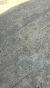 Sepatu Hitam Polos Pria Wanita: Tips Memilih & Menggunakan