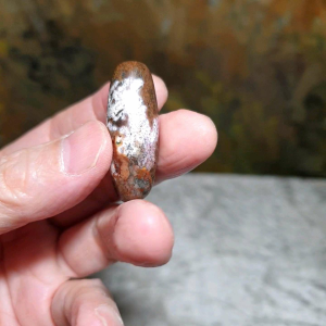 39mm Aged Tibetan Xang Xung (Zhang Zhung) Emperor Dragon Dzi with lots of fine red spots (with certificate) 39毫米西藏老矿象雄满细朱砂五爪(趾)金龙天珠(带证书)