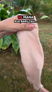 COD Kaos kaki Jempol Wanita Anti licin Kaus Kaki Anti Slip Kaos Kaki Jari Jempol Wanita Muslimah Diatas Mata Kaki Stocking Jempol Murah Berkualitas