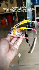 UMPAN GURITA PALING AMPUH DARI KUWUK TUTUL 300 GRAM