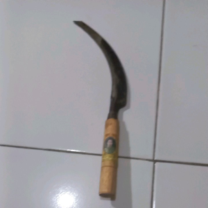 Arit Gergaji BERGERIGI potong Padi