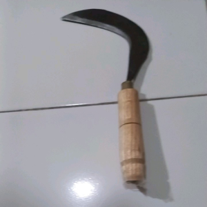 ARIT/SABIT KHUSUS BATANG PADI SANGAT TAJAM 1PCS