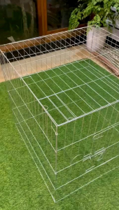 kurung ayam bangkok kucing kelinci