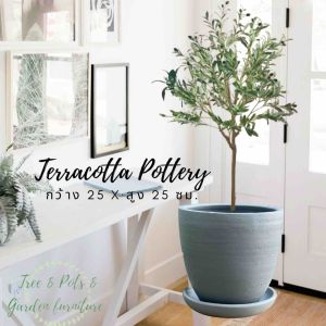 กระถางต้นไม้ทำจากดินเผาทาสี ขนาด 10 นิ้ว (25x25ซม.) พร้อมจานรอง มี 3 สีให้เลือก ใช้งานภายใน ภายนอกได้ค่ะ