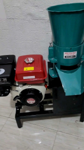 Mesin Cetak Pelet Ikan pakan Ternak+Mesin Penggerak GX270