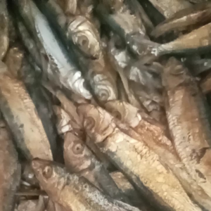 Cod ikan asin murah 1kg/Ikan asin JAPUH ketan/belitung